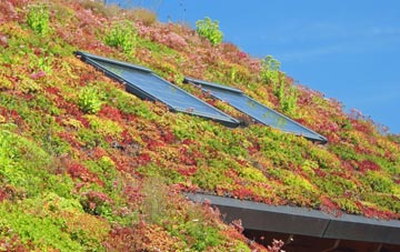 Dizzard living roof systems