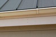 Dizzard soffit repair